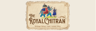 Our Digital Marketing Service bangalore HSR layout client royal chitran
