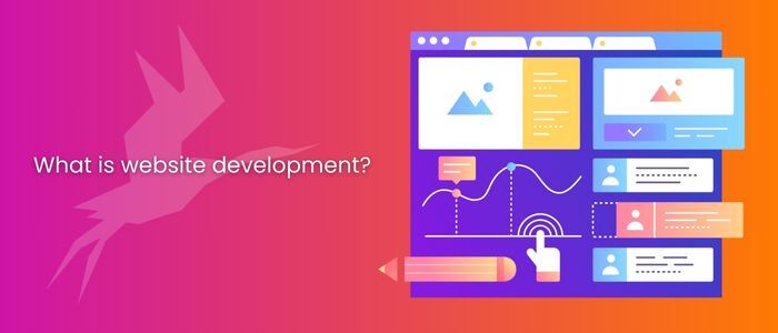 What is website development and types of website development